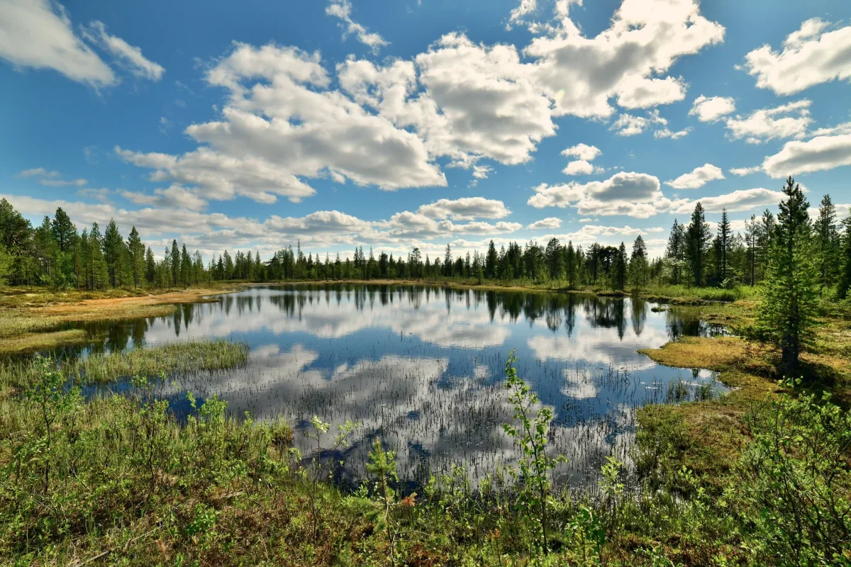Фото - Олег Филонок&nbsp;