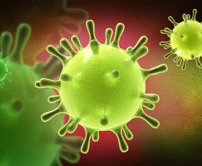 В Мурманской области скончались 11 человек от коронавируса