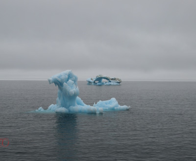 ФОТО ДНЯ: Дрейфующие льды Арктики