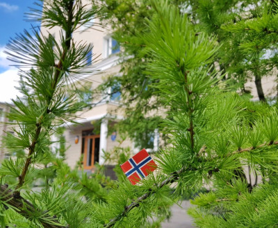 Генеральное консульство Норвегии в Мурманске временно закрыто с 23 ноября до особого распоряжения