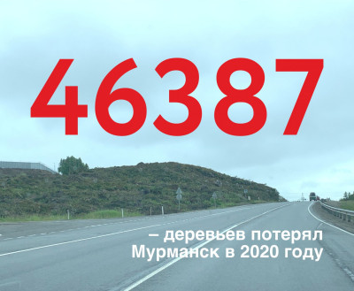 ЦИФРА ДНЯ: 46387 деревьев потерял Мурманск в 2020 году