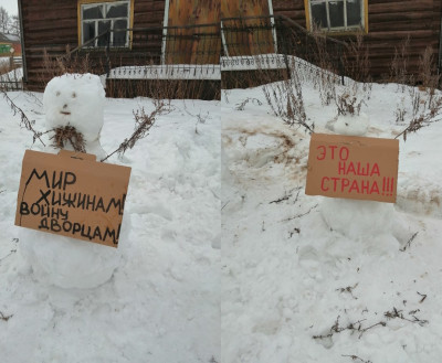 Активистку из Архангельской области задержали за организацию пикета снеговиков