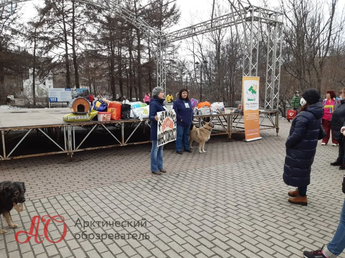 Пикет против жесткого обращения с животными прошёл в Мурманске