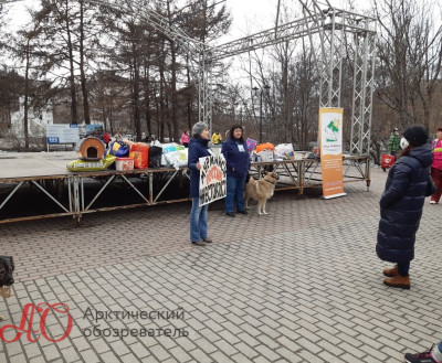 Пикет против жесткого обращения с животными прошёл в Мурманске