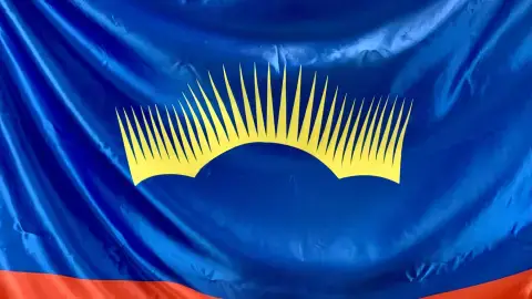 Выборы
