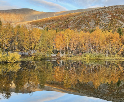 ФОТО ДНЯ: Осень в Хибинах
