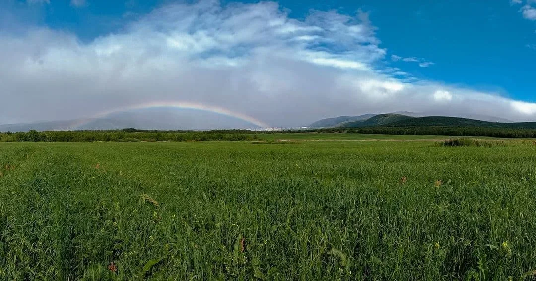 ФОТО ДНЯ: Однажды в летних Хибинах