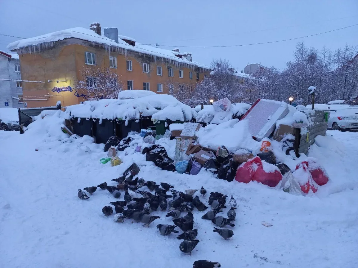А поутру они замусорились