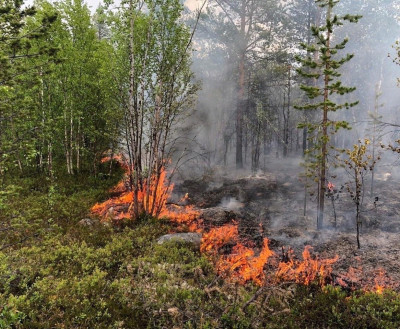 Десять населённых пунктов Мурманской области – в перечне подверженных лесным пожарам