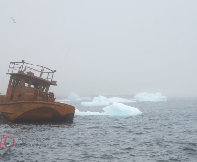 Незыгарь: чем раздражены в Арктике