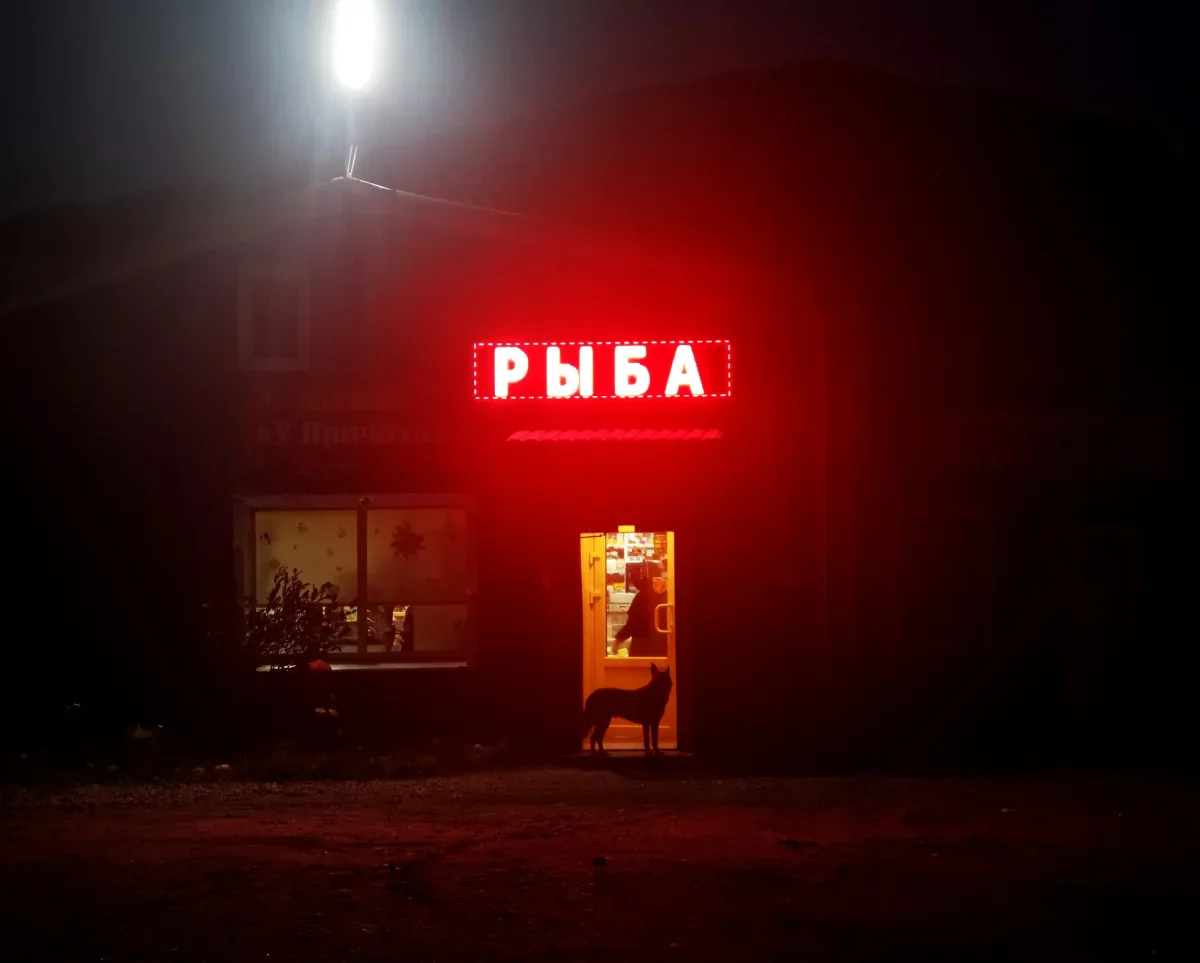 ФОТО НОЧИ: В Териберке – рыба