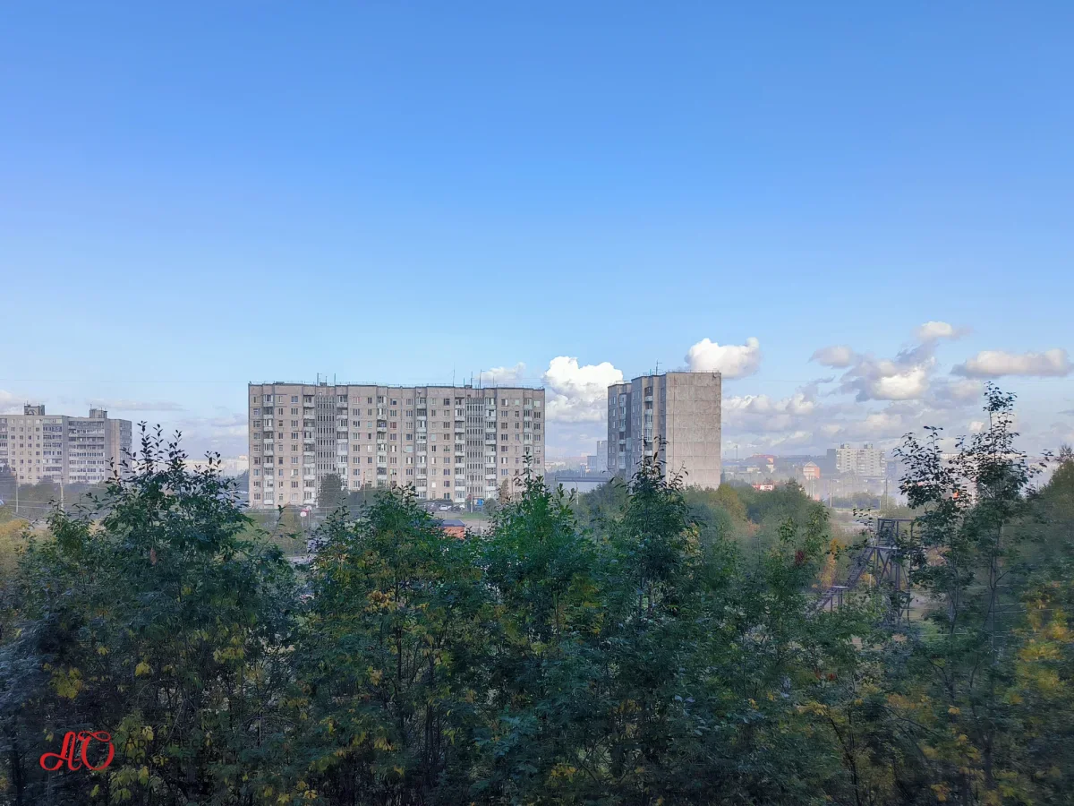 Слон в комнате