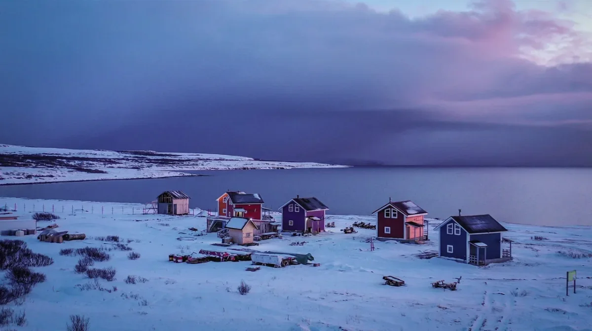 Фото:&nbsp;ArcticFree