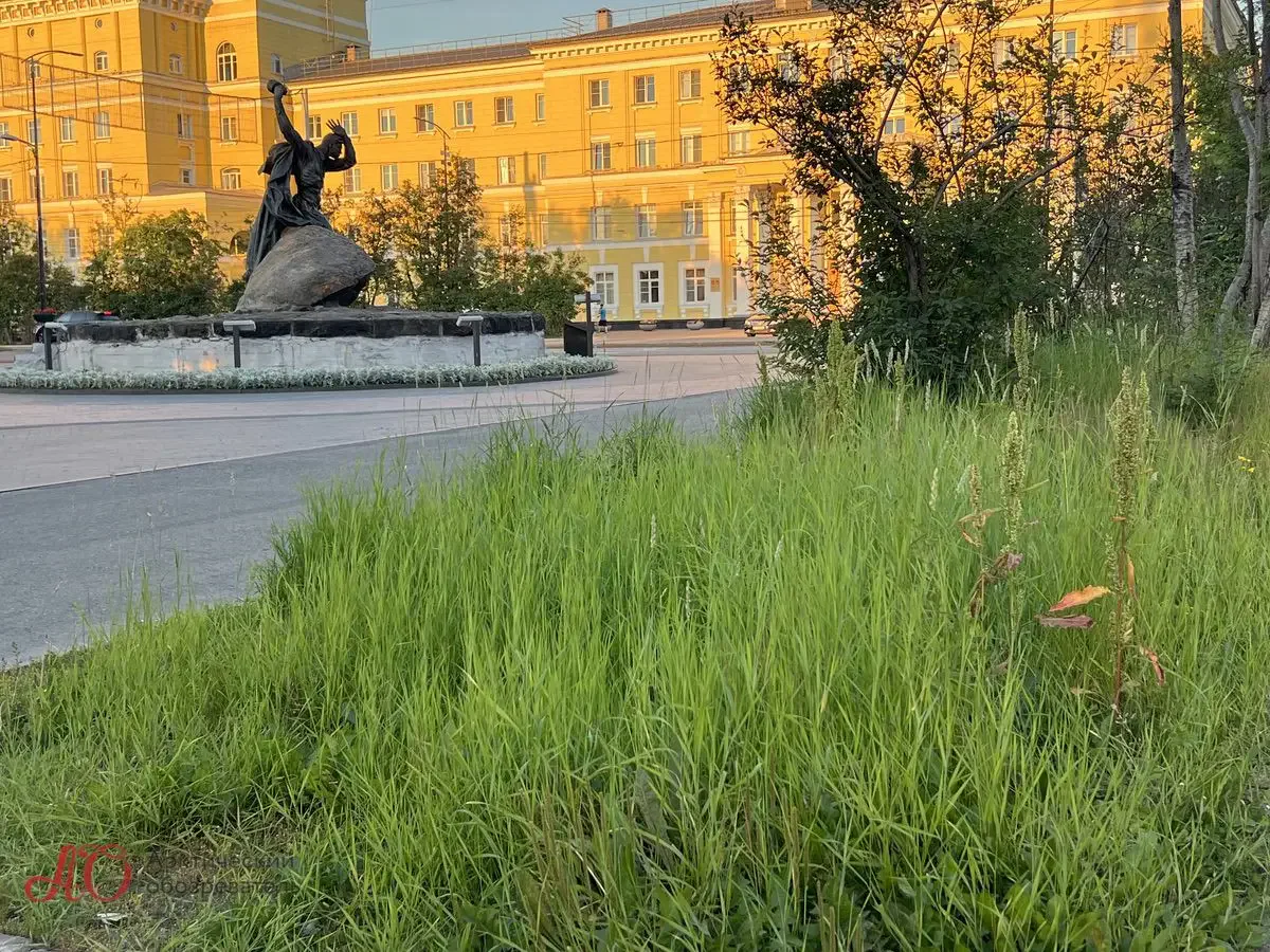 Территория у памятника Анатолию Бредова явно находится в мунзадании, но там не покошено