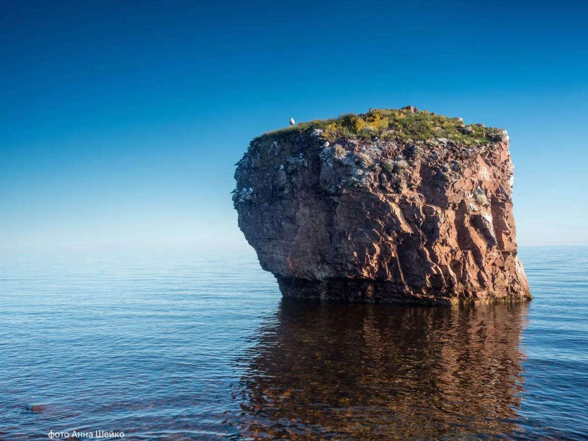 ФОТО ДНЯ: Чаячья скала