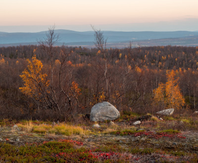 ФОТО ДНЯ: Последние золотые краски заполярной осени