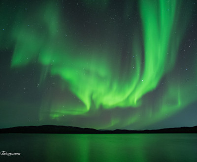 ФОТО ДНЯ: Лисьи огни над Кольской землёй