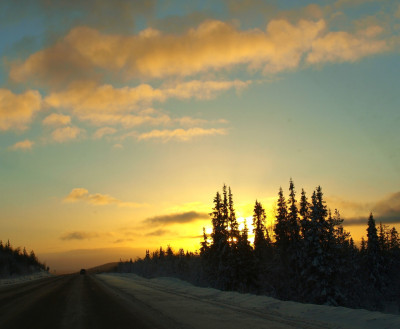 ФОТО ДНЯ: Рассветные краски над лесом