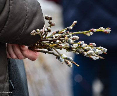 ДАТА: Вербное воскресенье