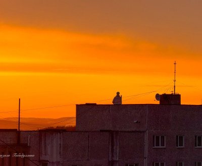 ФОТО ДНЯ: Алёша смотрит на закат