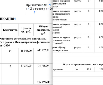 Иностранных наблюдателей на выборах провели, как Молодёжный фестиваль